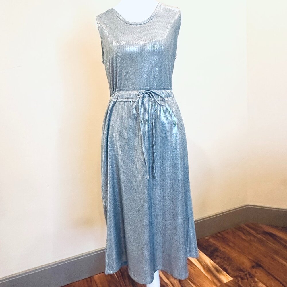 NWOT ANTHROPOLOGIE X DOLAN LEFT COAST SILVER DRESS MEDIUM